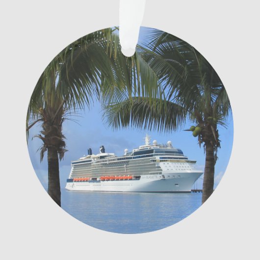 有名人シルエットクルーズトゥパラダイススノーフレーク オーナメント (正面)