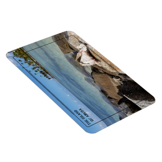 有場 マグネット (右側)