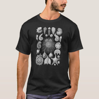有孔虫 Tシャツ