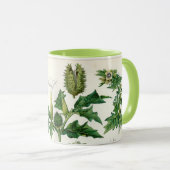 有害な植物 マグカップ (正面右)
