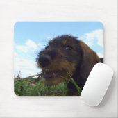 有害 マウスパッド (マウス)