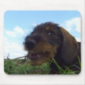 有害 マウスパッド (正面)