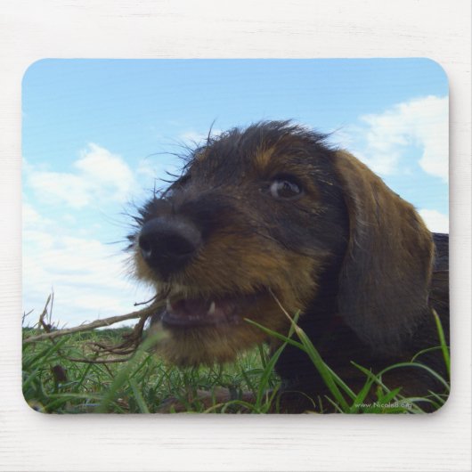 有害 マウスパッド (正面)