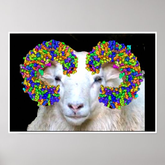 有料のラム ポスター (正面)