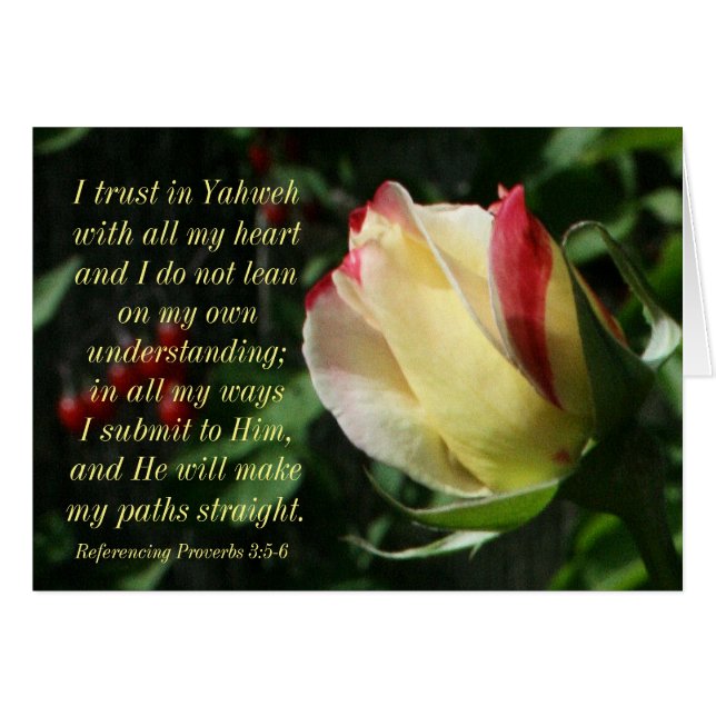 有望な聖なる書物、経典の諺の3:4 - 6 (正面横)