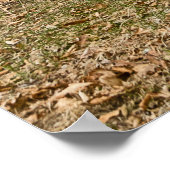 有権者と政治家のための二階建てのハウス ポスター (角)