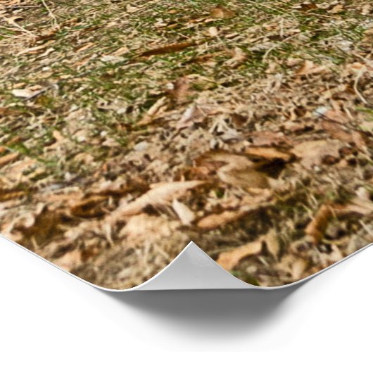 有権者と政治家のための二階建てのハウス ポスター (角)