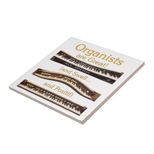 有機体はタ素晴らしイル タイル (側面)