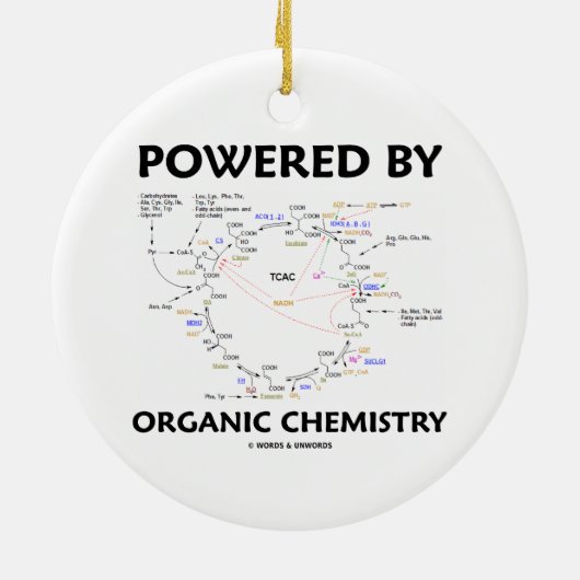 有機化学(Krebs周期)によって動力を与えられる セラミックオーナメント (裏面)