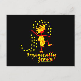 有機栽培のTシャツと贈り物 ポストカード