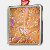 有毒な火の少年(Asthenosomaのvarium) メタルオーナメント (左)