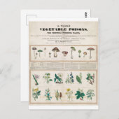 有毒植物ヴィンテージ葉書 ポストカード (正面/裏面)