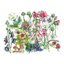 有毒植物薬草水色の花