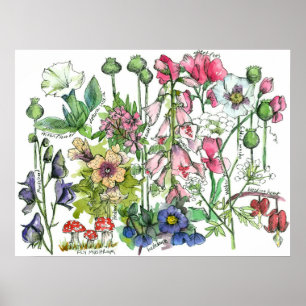 有毒植物薬草水色の花 ポスター