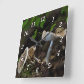 有毒美しい壁時計 スクエア壁時計 (傾斜)