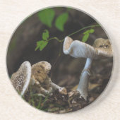 有毒美しい コースター (正面)