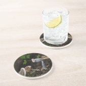 有毒美しい コースター (側面)