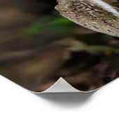 有毒美しい ポスター (角)