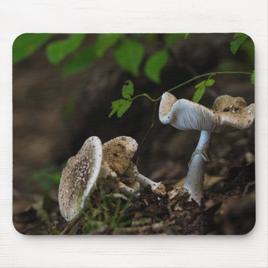 有毒美しい マウスパッド (正面)