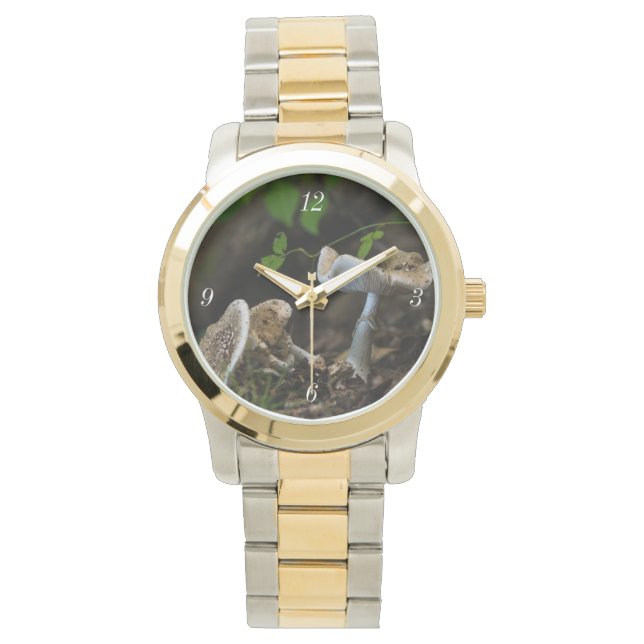 有毒美しい 腕時計 (正面)