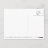 「有毒美しいIIホワイトオレアンダー」はがき ポストカード (裏面)