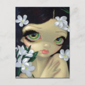 「有毒美しいIIホワイトオレアンダー」はがき ポストカード (正面)