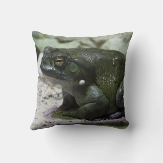 有毛包皮 クッション (裏面)