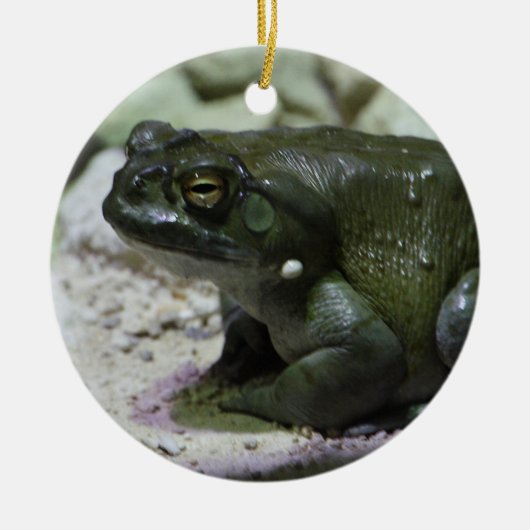 有毛包皮 セラミックオーナメント (正面)