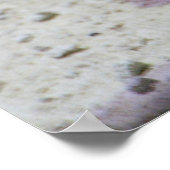 有毛包皮 ポスター (角)