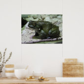 有毛包皮 ポスター (キッチン)