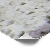 有毛包皮 ポスター (コーナー)