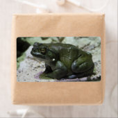 有毛包皮 ラベル (インサイチュ)