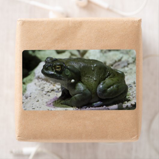 有毛包皮 ラベル (インサイチュ)