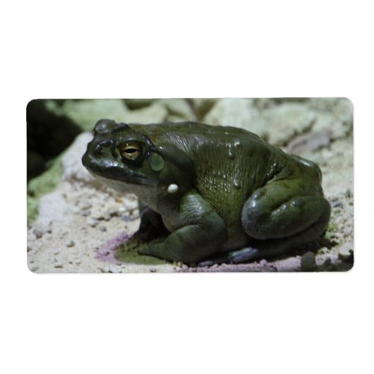 有毛包皮 ラベル (正面)