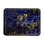 有水星座磁石 マグネット (横)