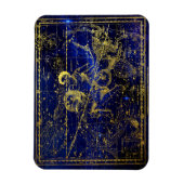 有水星座磁石 マグネット (縦)