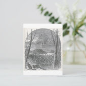 有生の世界-ビーバーのダムの一見 ポストカード (スタンド正面)