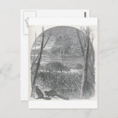 有生の世界-ビーバーのダムの一見 ポストカード (正面/裏面)