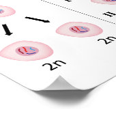 有糸分裂と減数分裂ポスター ポスター (角)