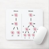 有糸分裂対減数分裂のmousepad マウスパッド (マウス)