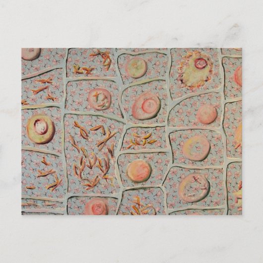 有糸分裂 ポストカード (正面)