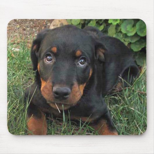 有罪ロットワイラーパピーマウスパッド マウスパッド (正面)