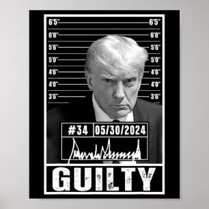 有罪判決の判決ドナルド・トランプ・マグは刑務所ピクトを撃った ポスター