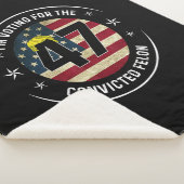 有罪判決を受けたフェロン47アンチトランプMの投票を行う シェルパブランケット (3/4)