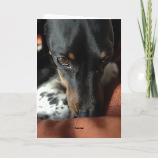 有罪 カード (裏面)