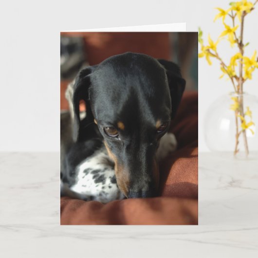 有罪 カード (黄色い花)