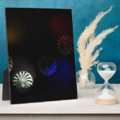 有色嚢状イメージャ フォトプラーク (側面)