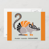 有袋類 – NUMBAT-自然 – 野生生物 –  ポストカード (正面/裏面)