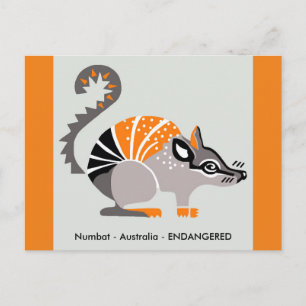 有袋類 – NUMBAT-自然 – 野生生物 – ポストカード