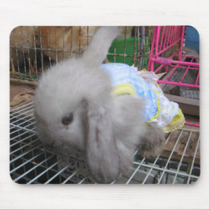 服のウサギ マウスパッド